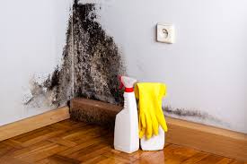 Mold Remediation for Rental Properties in Highlands, TX